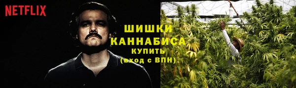 винт Майский