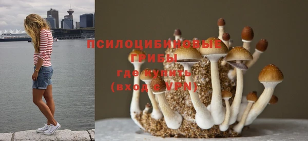 винт Майский