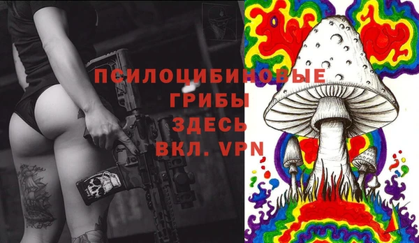 МДПВ Магас