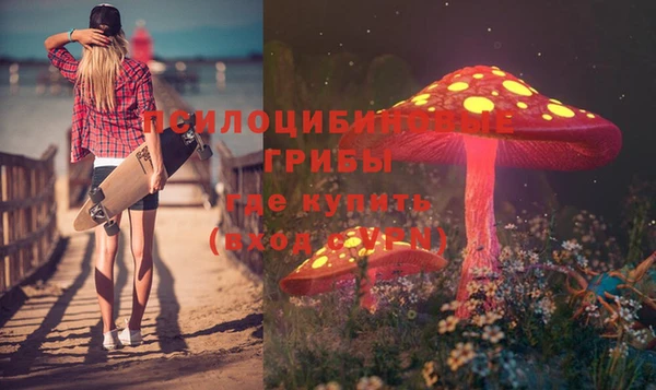 винт Майский