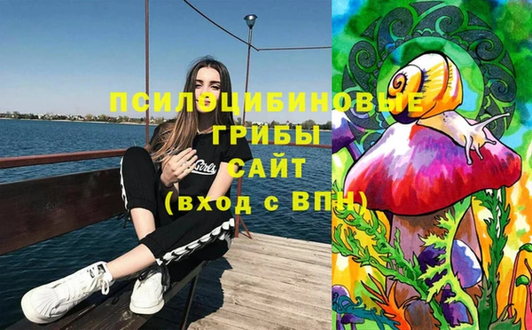 МДПВ Магас