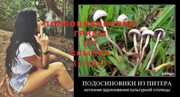 МДПВ Магас