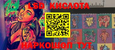 стафф Дубна