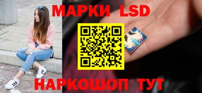 стафф Дубна