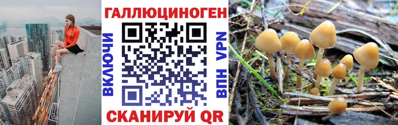 Галлюциногенные грибы прущие грибы  что такое   Уссурийск 