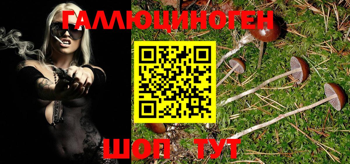Псилоцибиновые грибы MAGIC MUSHROOMS Уссурийск