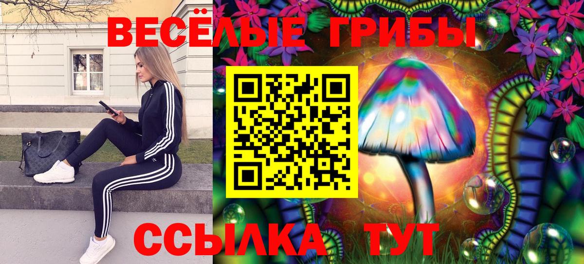 Галлюциногенные грибы Psilocybine cubensis  Вход с VPN  где найти   Уссурийск 